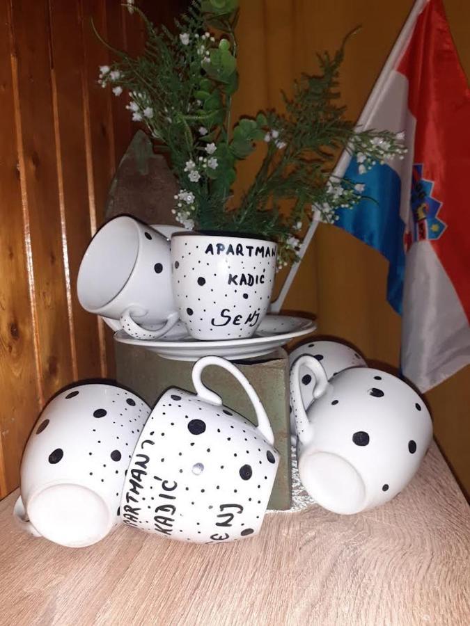 Apartman Kadic Senj Senj  Exterior foto